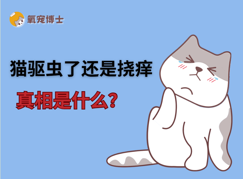 猫咪驱虫了为什么还是抓痒？说透5大真相