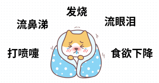 狗狗感冒症状