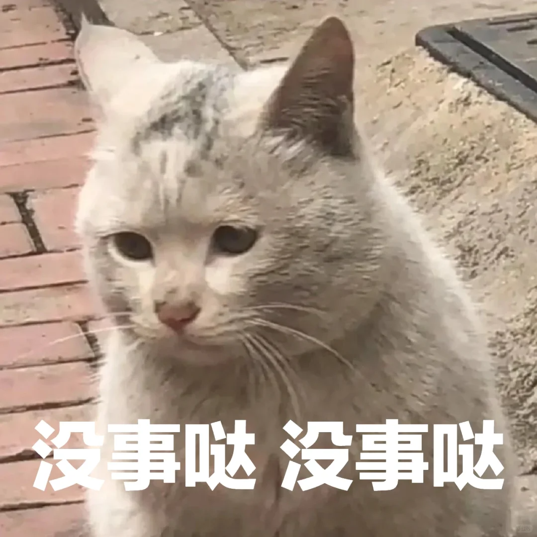 猫咪疯狂舔毛的原因