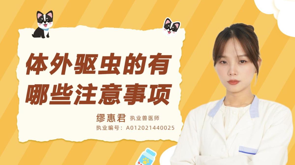 体外驱虫有哪些注意事项