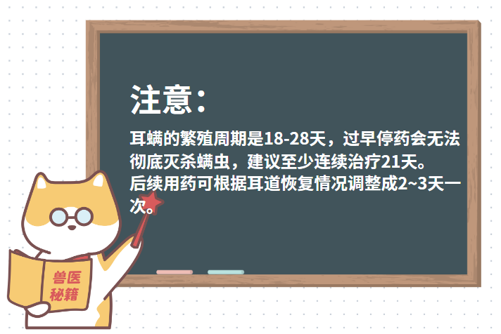 小猫耳朵里有黑色的东西