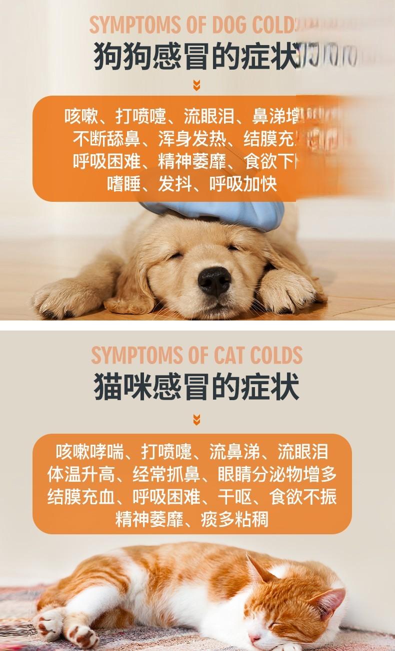 猫犬感冒咳嗽打喷嚏