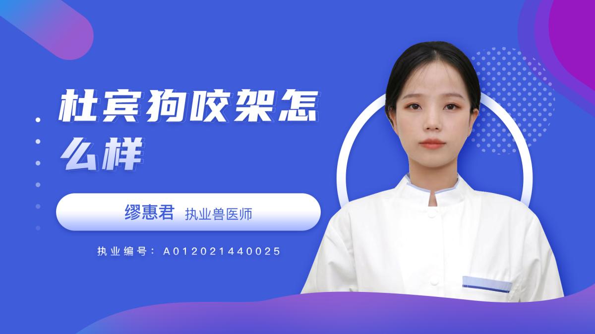 杜宾狗咬架怎么样？