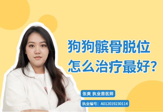 狗狗髌骨脱位怎么治疗最好？