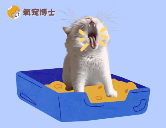 猫咪尿不出来有什么办法