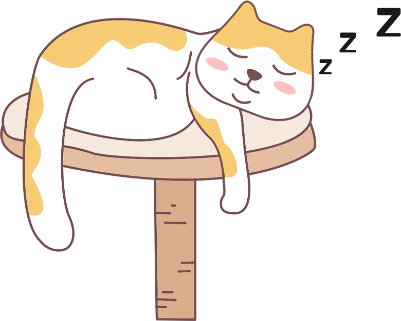 猫咪半夜跑酷不睡觉