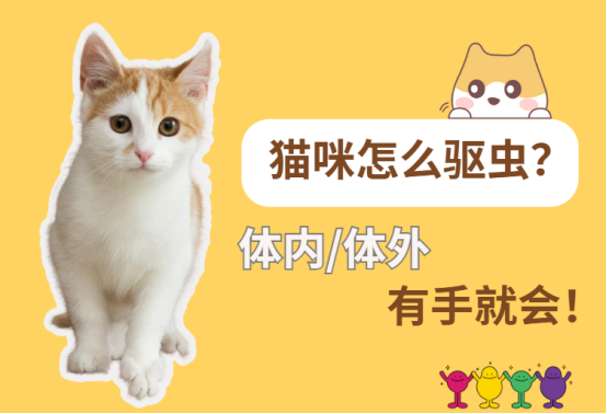 猫怎么驱虫？