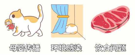 貓咪體內(nèi)驅(qū)蟲