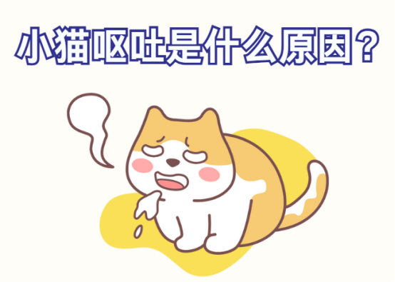 小猫呕吐是什么原因？