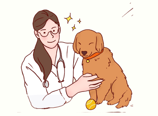 狗狗产后恶露多久排干净？