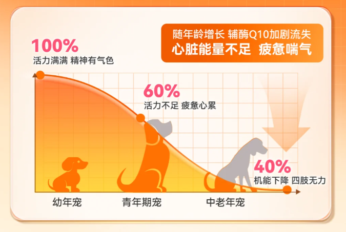 宠物辅酶Q10选哪种？