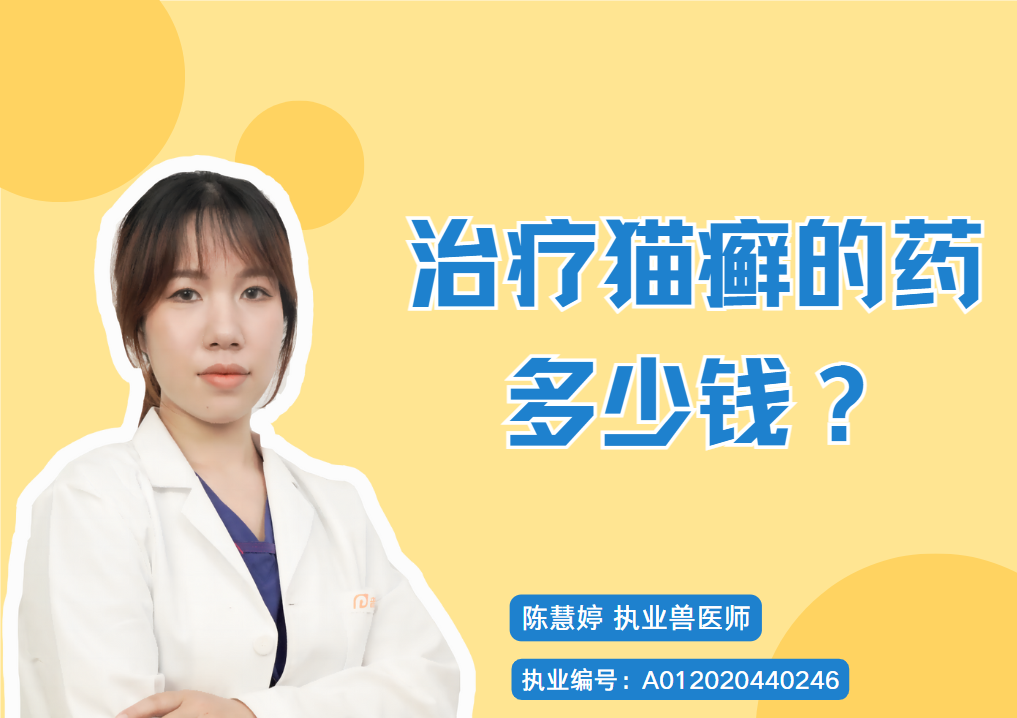 治療貓癬的藥多少錢？怎麼治療更省錢？