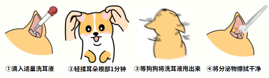 狗狗耳朵有很多黑色耳垢怎么清理