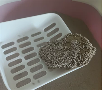 魔核猫砂测评