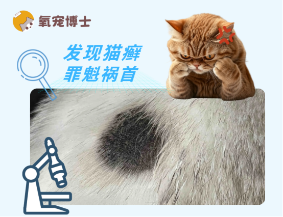 猫癣是因为什么引起的，你知道吗？