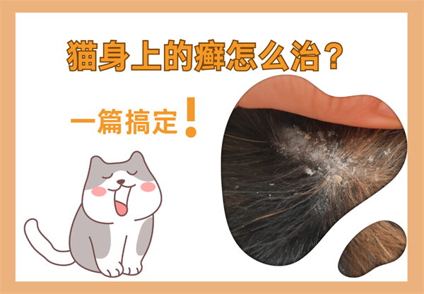 猫身上的癣怎么治？