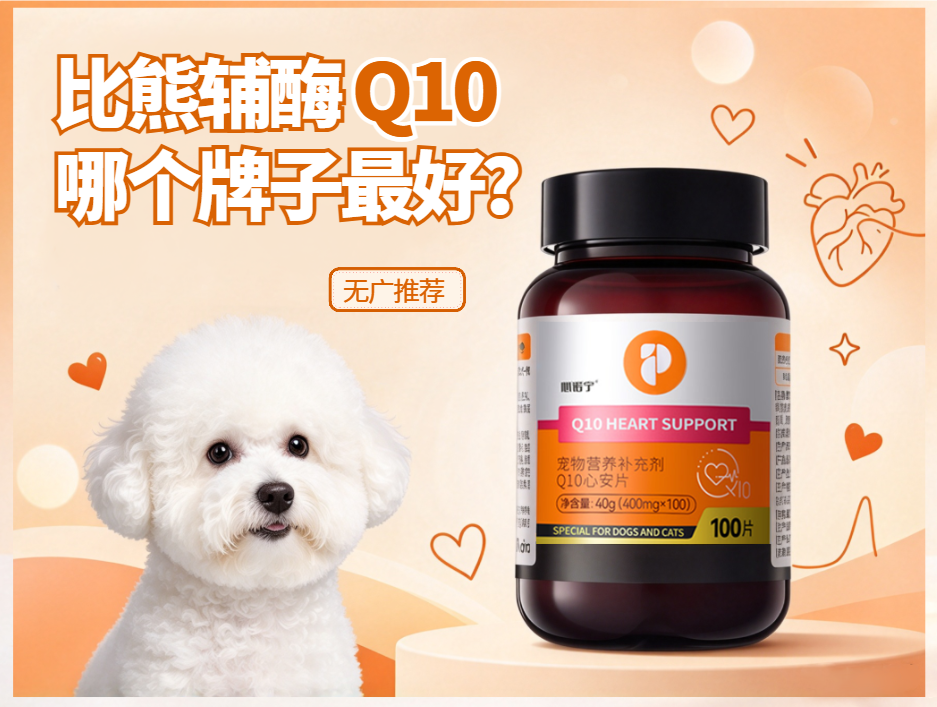 比熊辅酶Q10哪个牌子最好？
