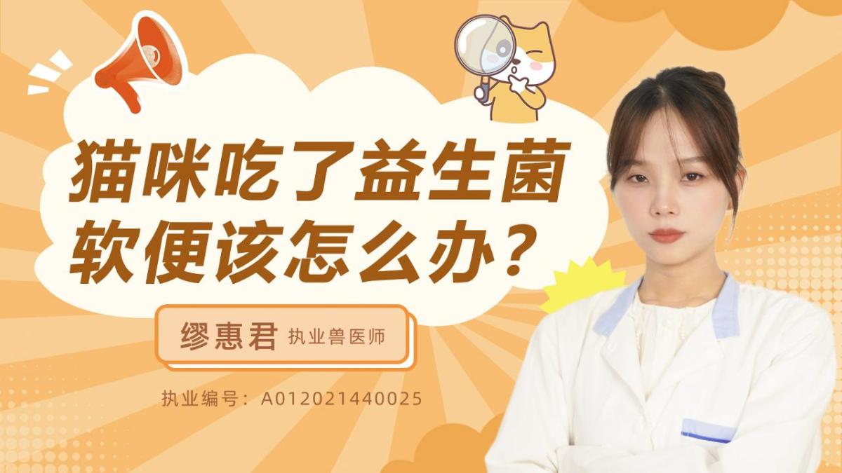 猫咪吃了益生菌软便该怎么办？