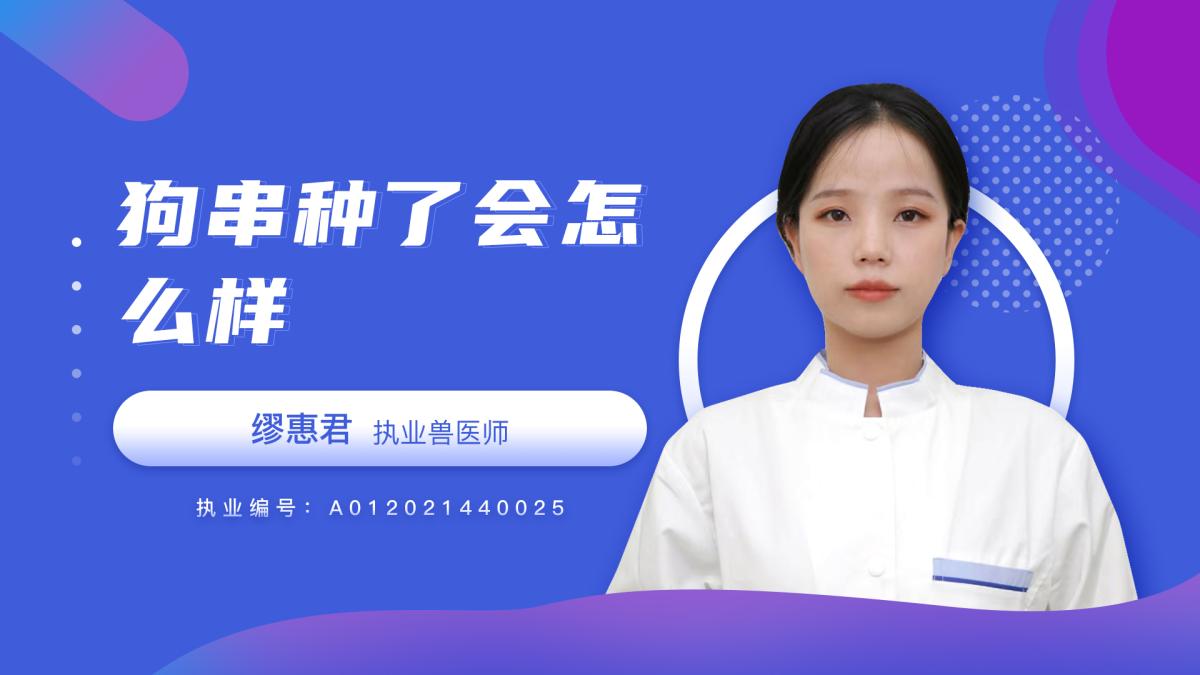 狗串種了會(huì)怎么樣？