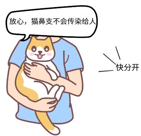 猫疱疹病毒会传染给人吗？