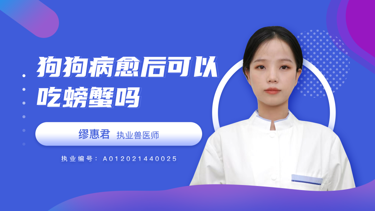 狗狗病愈后可以吃螃蟹吗？