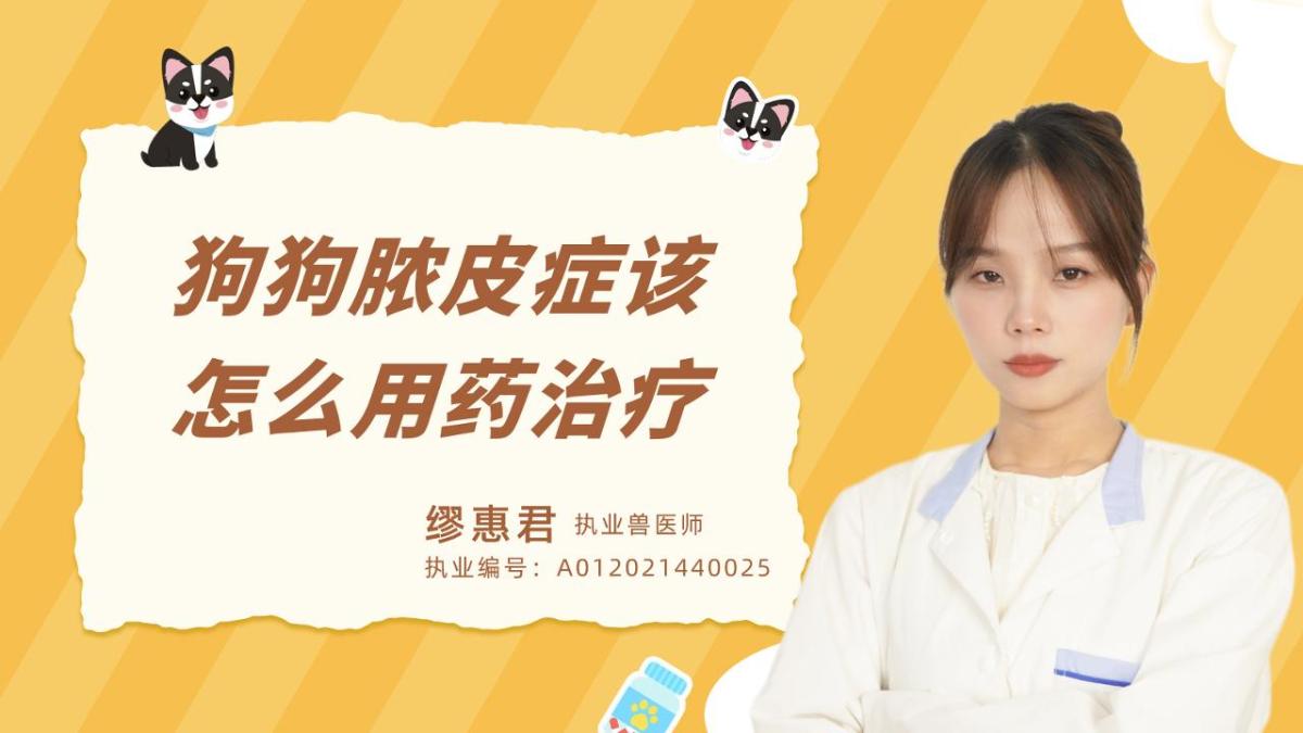 狗狗脓皮症该怎么用药治疗？