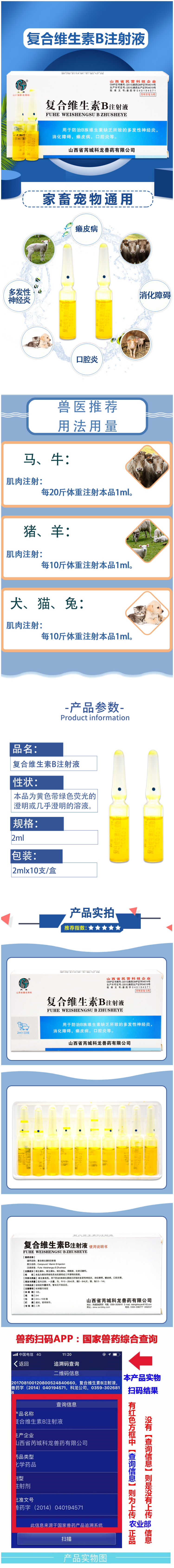 科龙 复合维生素B注射液详情.png