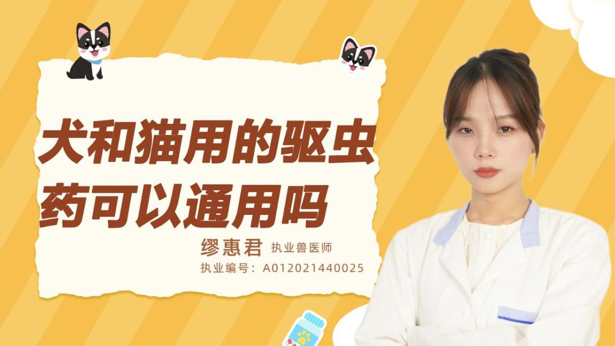 犬和猫用的驱虫药可以通用吗？