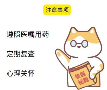 猫鼻支反复发作怎么办？