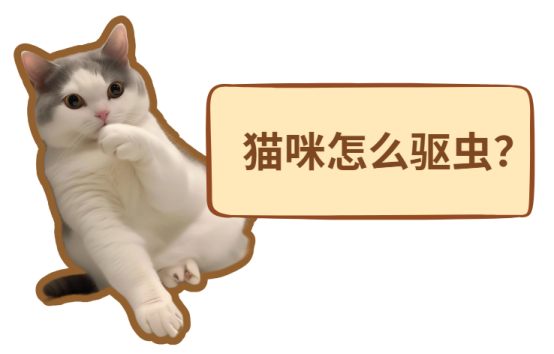 猫咪怎么驱虫？