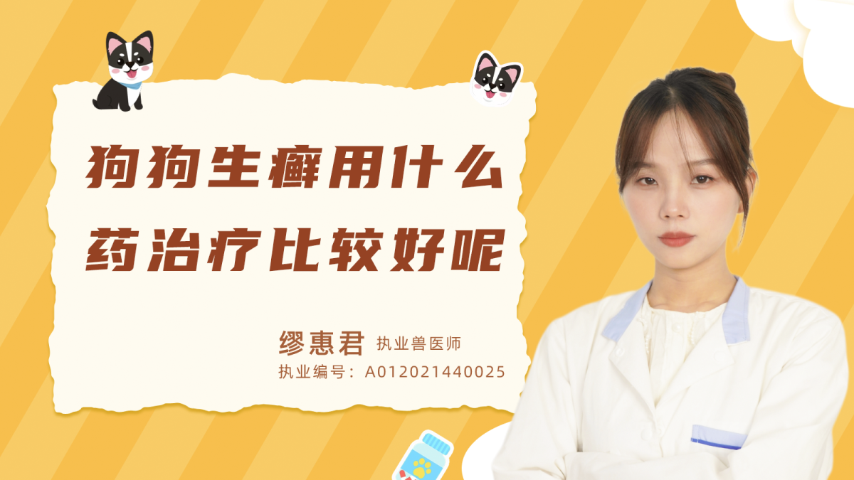 狗狗生癬用什麼藥治療比較好？