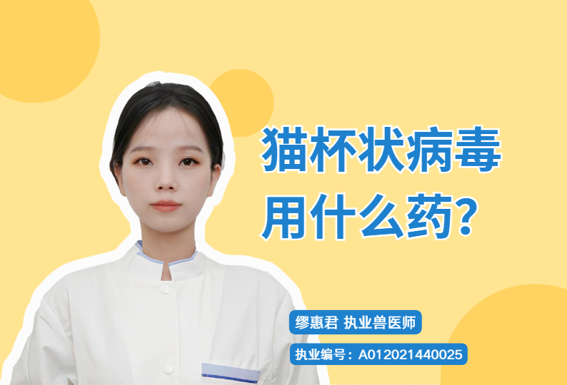猫杯状病毒用什么药？