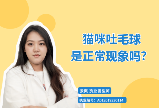 猫咪吐毛球是正常现象吗？