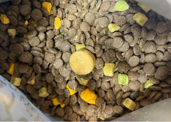 领先狗粮好不好？