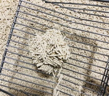 宠幸猫砂