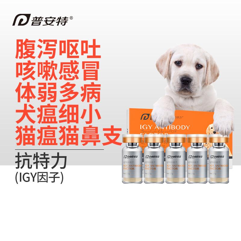 怎樣提高犬貓的抵抗力