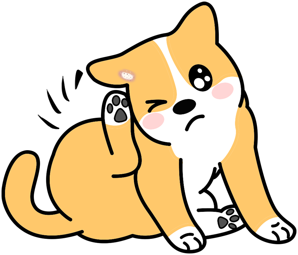 狗狗听力下降怎么办？