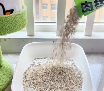 肉垫猫砂测评