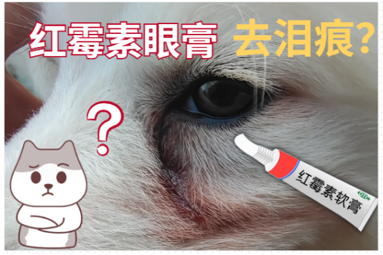 狗狗去泪痕红霉素软膏怎么用