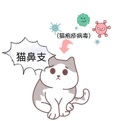 警惕！这些日常因素可能引发猫鼻支