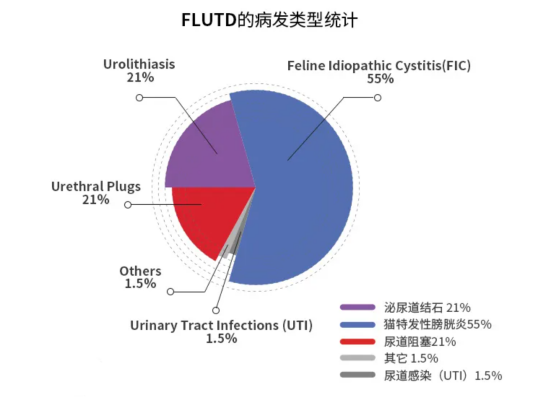 猫尿血是怎么回事