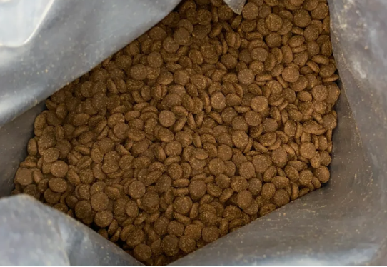 小愿叔叔猫粮测评