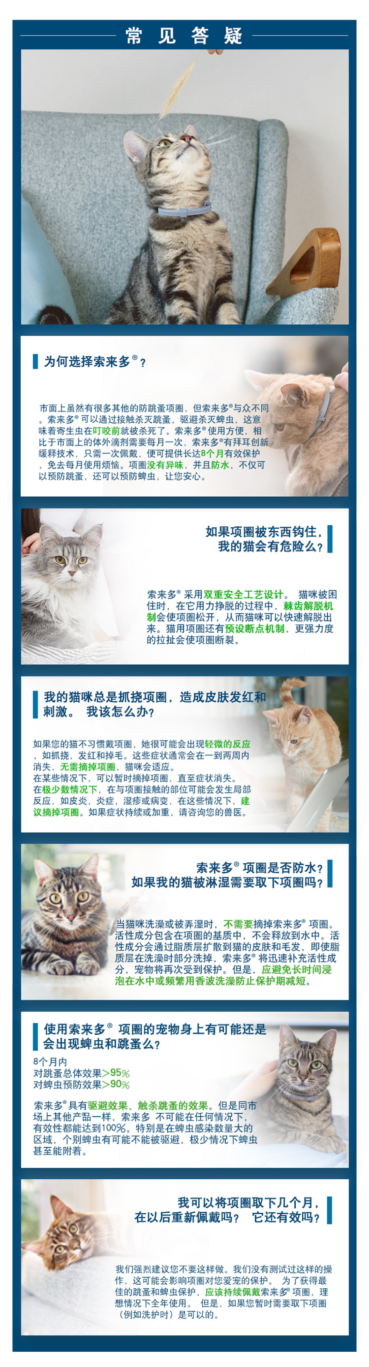 拜耳 索来多猫用3.png