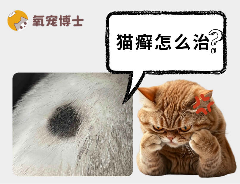 貓癬怎麼治？