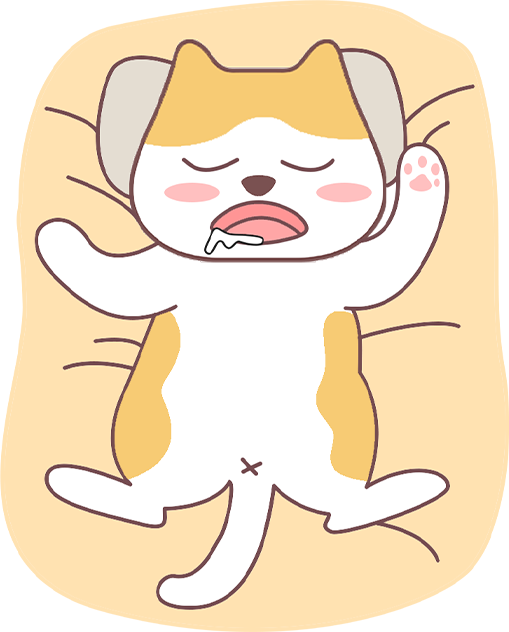 猫咪养得好的表现