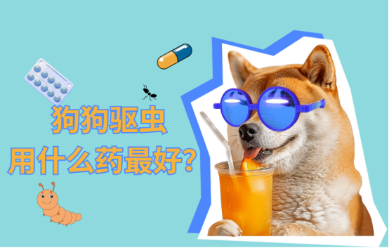 狗狗驱虫用什么药最好？