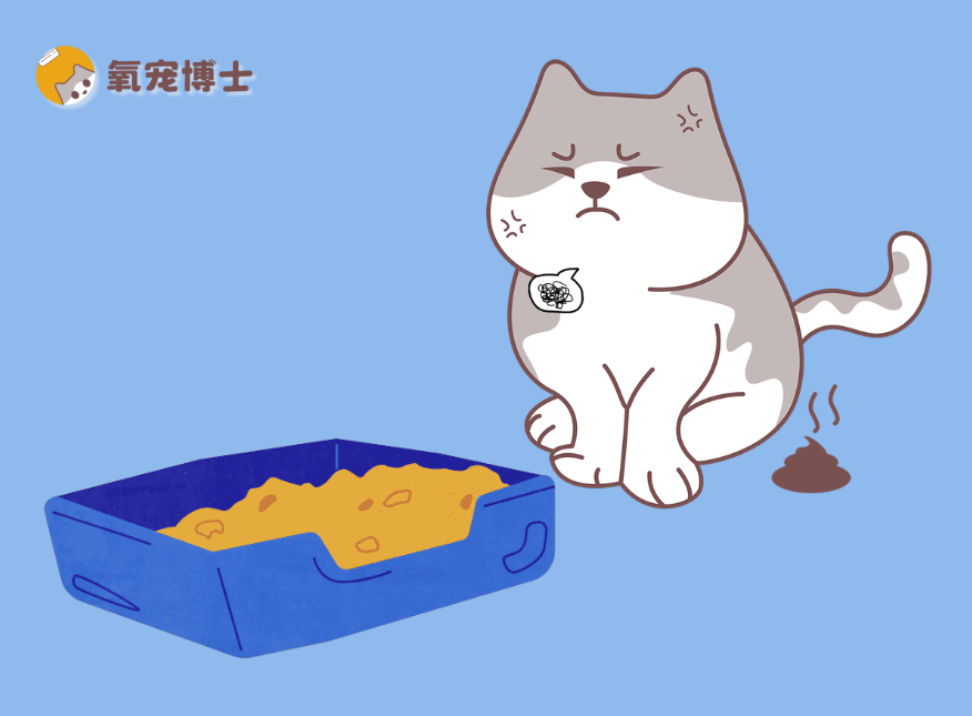 为什么猫咪不在猫砂盆里拉粑粑？