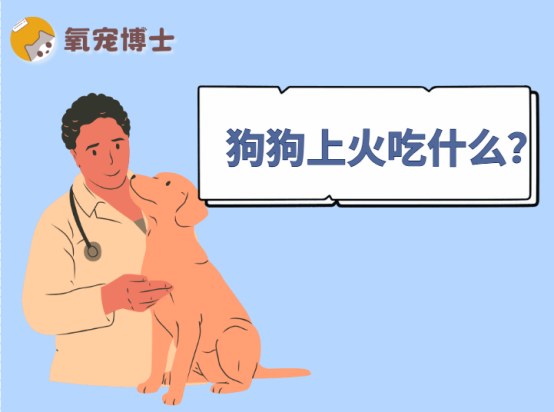 狗狗上火吃什麼