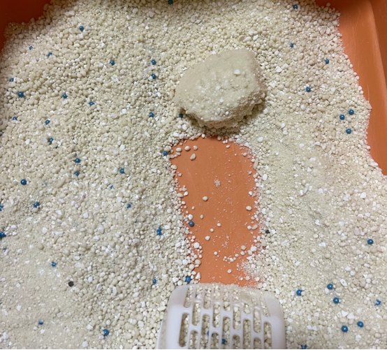 星宴猫砂好用吗？