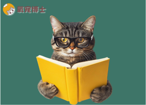 猫咪子宫蓄脓吃消炎药会好吗？真相来了！